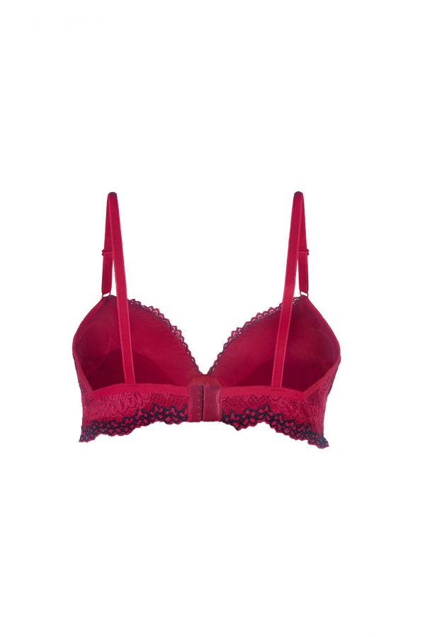 Sutiã com Bojo em Renda Bordada T201 Finis Intimate Lingerie Premium